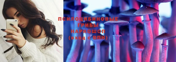 МДПВ Абаза