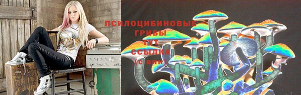 гашик Абдулино